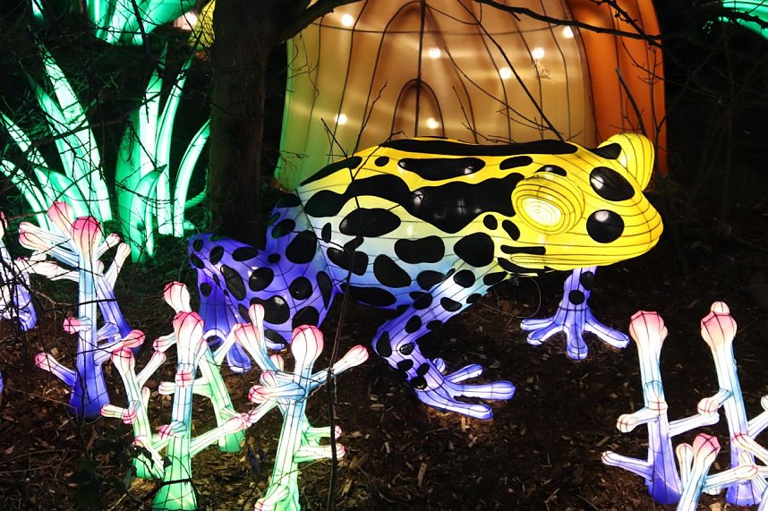 Lichtershow im Bergzoo Halle