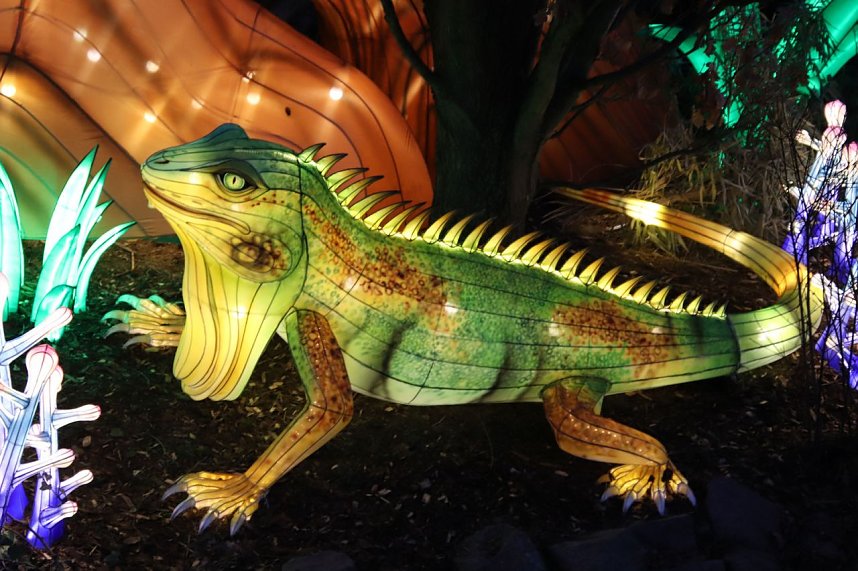 Lichtershow im Bergzoo Halle