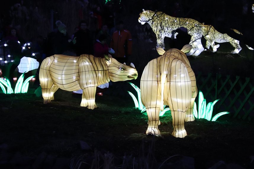 Lichtershow im Bergzoo Halle