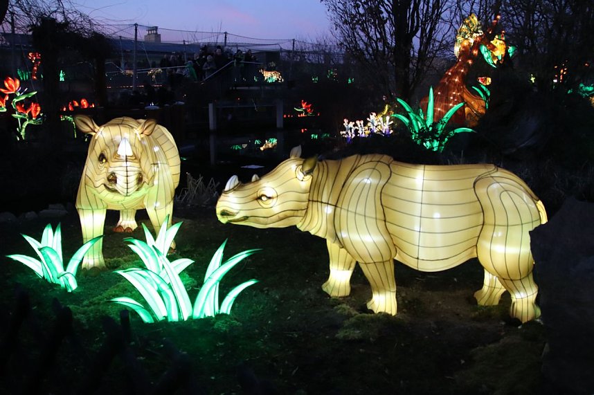 Lichtershow im Bergzoo Halle