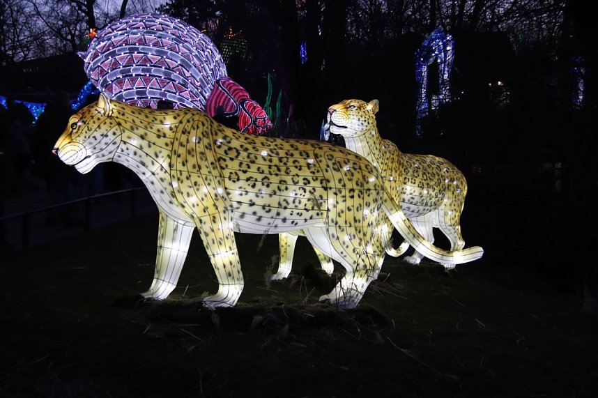 Lichtershow im Bergzoo Halle