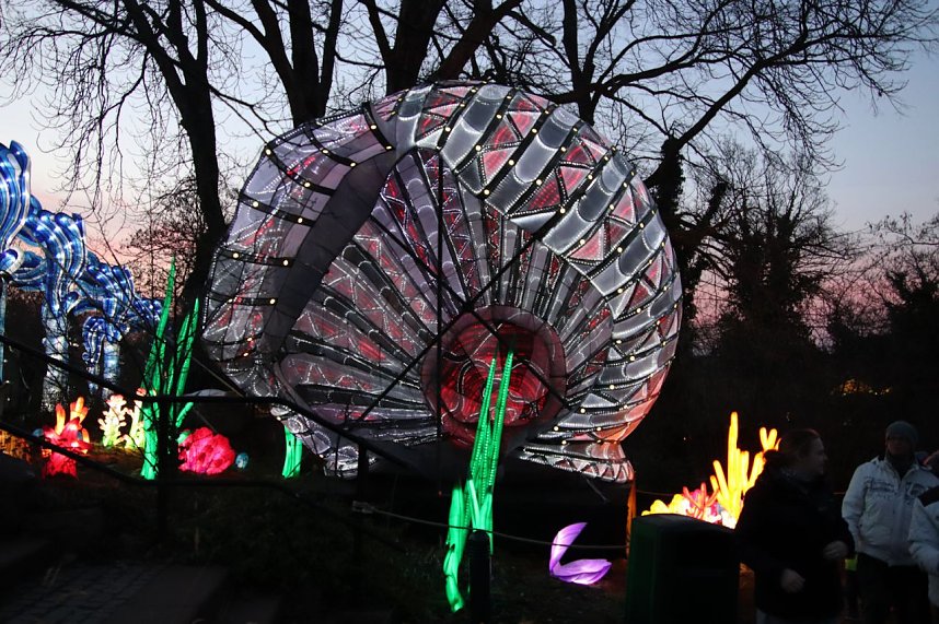 Lichtershow im Bergzoo Halle