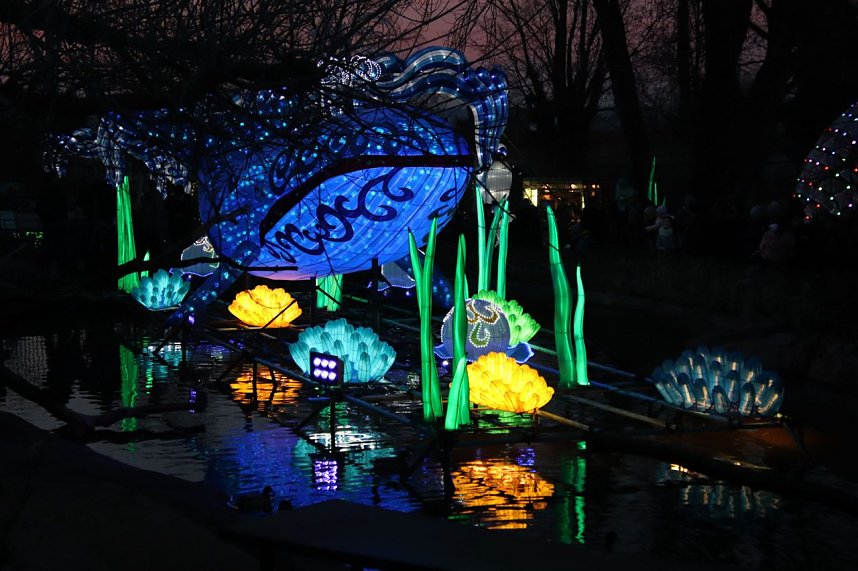 Lichtershow im Bergzoo Halle