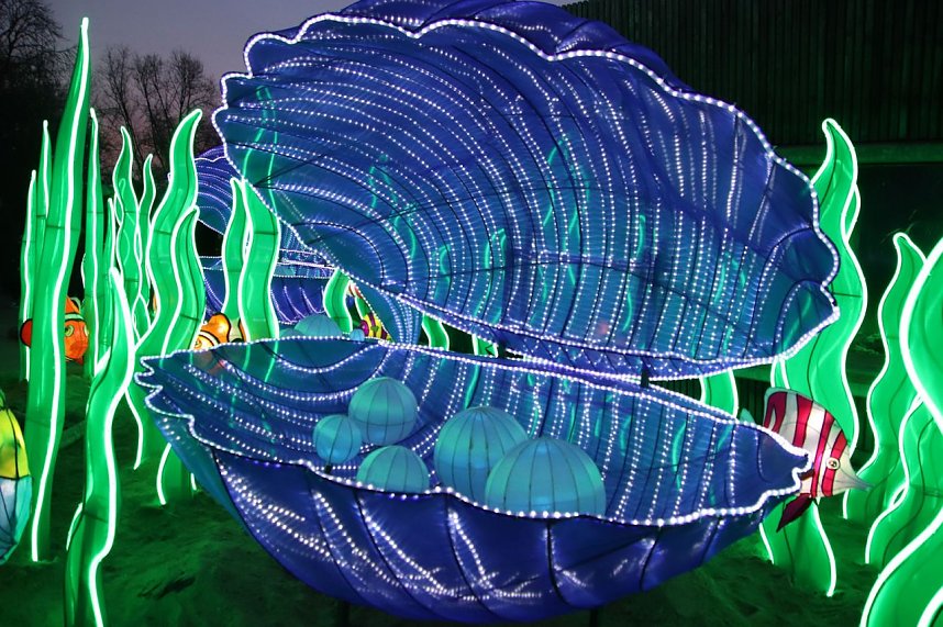 Lichtershow im Bergzoo Halle