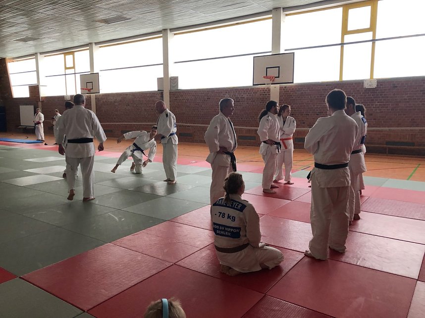 Sechs Judokas beim Kata-Seminar