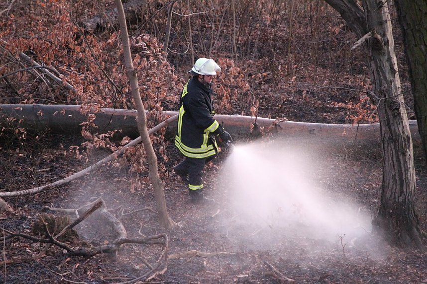 Fl&auml;chenbrand bei Gro&szlig;lohra