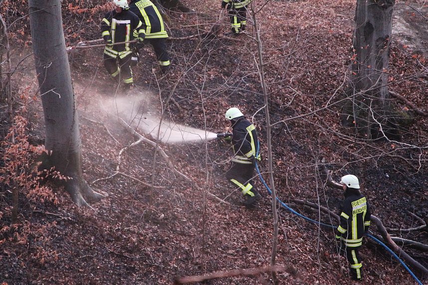 Fl&auml;chenbrand bei Gro&szlig;lohra