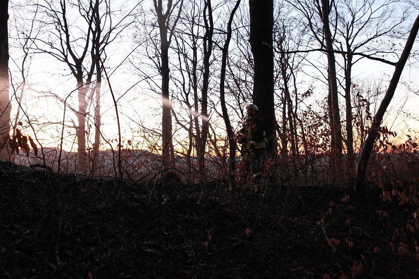 Fl&auml;chenbrand bei Gro&szlig;lohra