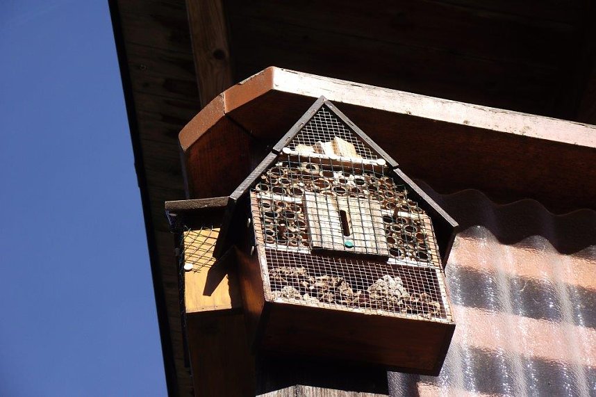 Rainer Peix erwartet zahlreiche Sommerg&auml;ste aus fernen L&auml;ndern