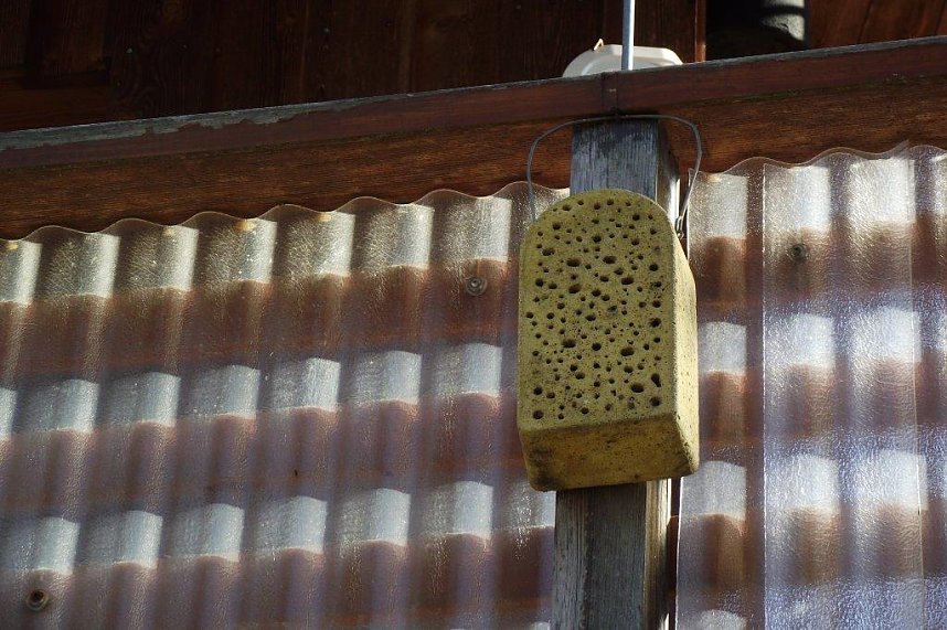 Rainer Peix erwartet zahlreiche Sommerg&auml;ste aus fernen L&auml;ndern