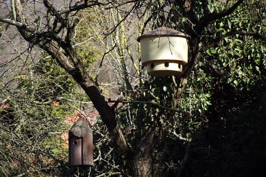 Rainer Peix erwartet zahlreiche Sommerg&auml;ste aus fernen L&auml;ndern