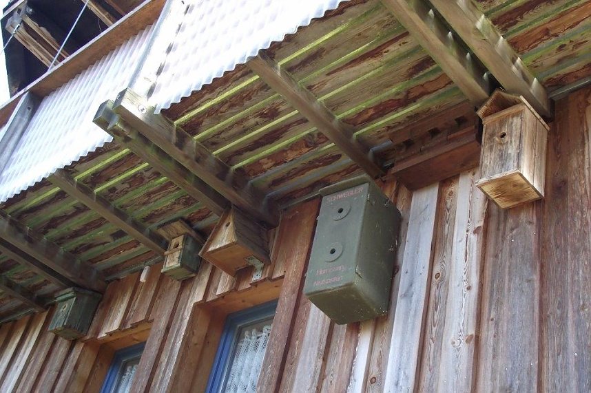 Jeder brauchbare Platz am Haus ist mit Bruthilfen f&uuml;r seine zahlreichen Mieter belegt.