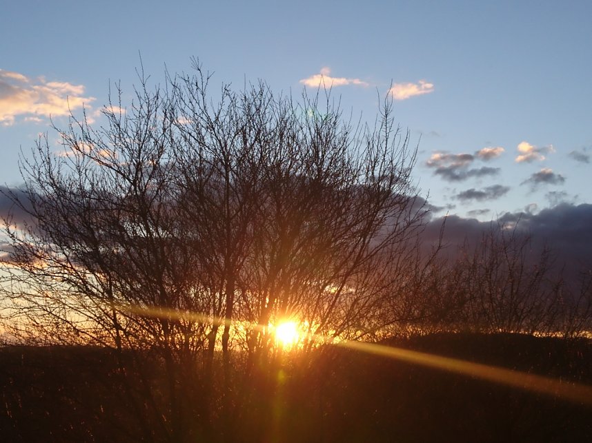 Abendstimmung &uuml;ber Neustadt-Osterode