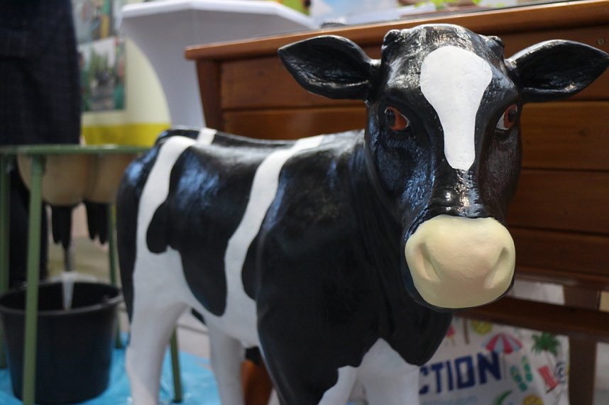 21. Forum Berufsstart