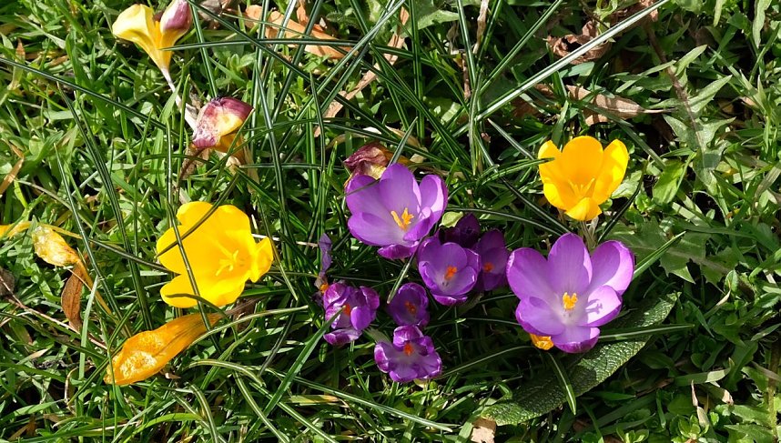 Der Sieger steht fest.