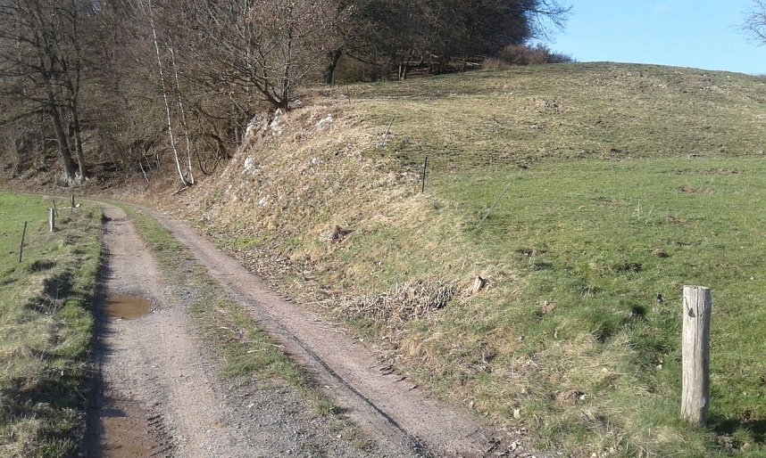 Der felsige Hang bei Gudersleben am 07.04.2018 mit "seinem" Feldweg. Der artenreiche Halbtrockenrasen ist f&ouml;rmlich mit dem Feldweg verwachsen. Eine Art des &uuml;ber Jahrhunderte gewachsenes Neben- und Miteinanders, des nahtlosen &Uuml;bergangs.