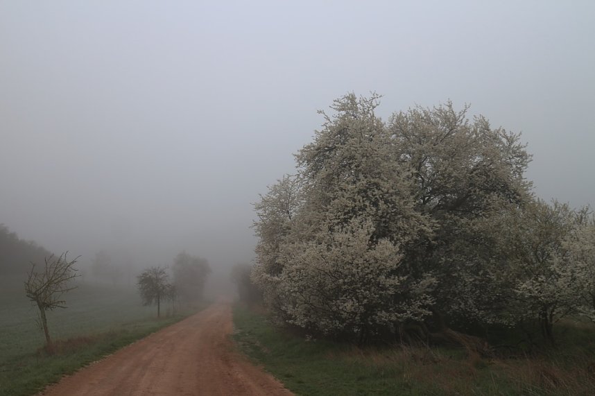 Fr&uuml;hjahrswanderung bei Auleben