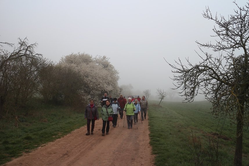 Fr&uuml;hjahrswanderung bei Auleben