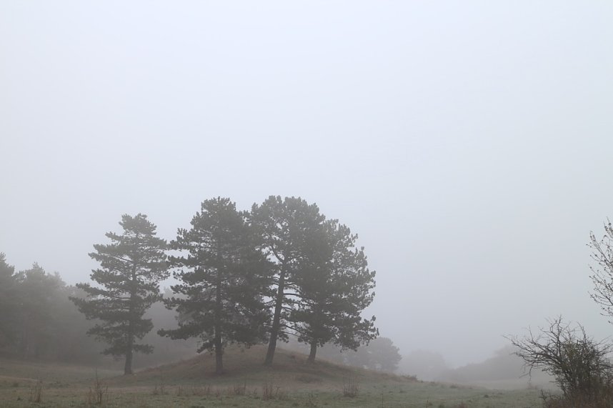 Fr&uuml;hjahrswanderung bei Auleben