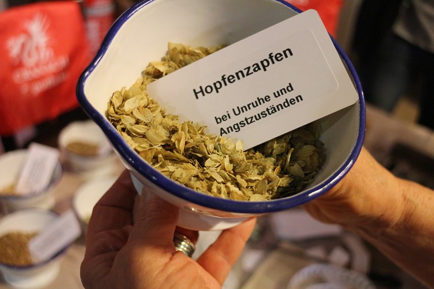 Museumsnacht in Nordhausen