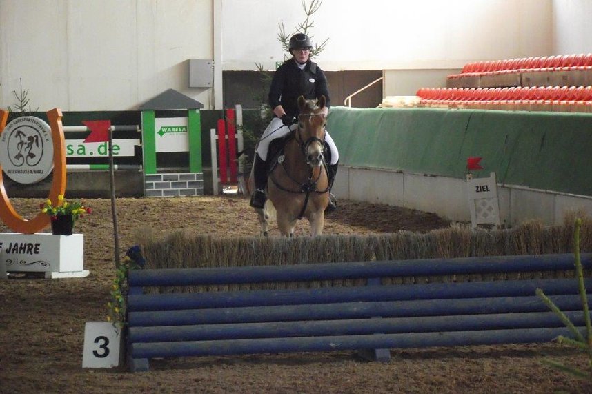 Hoch zu Ross &uuml;ber viele Hindernisse durch die Halle