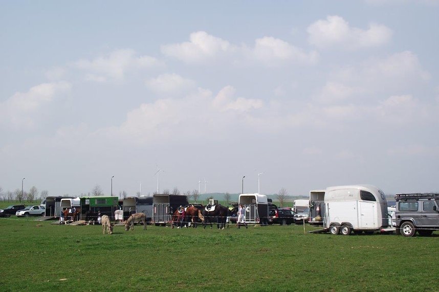 Hoch zu Ross &uuml;ber viele Hindernisse durch die Halle