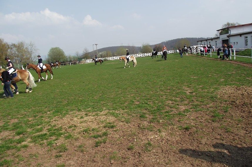 Hoch zu Ross &uuml;ber viele Hindernisse durch die Halle