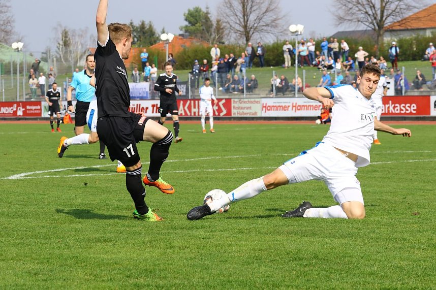 Herbe Schlappe in Halberstadt