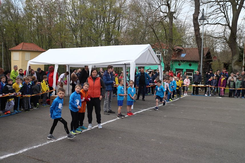 Fr&uuml;hjahrscrosslauf 2019