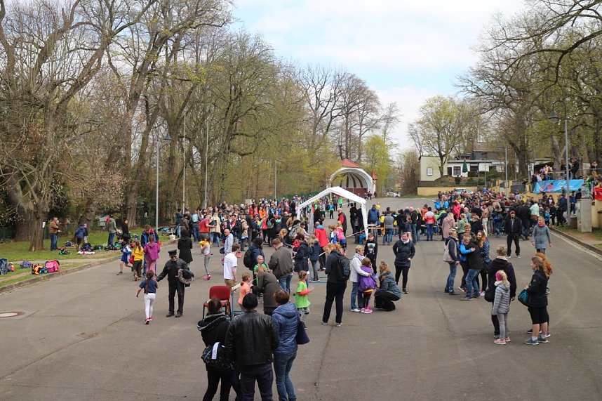 Fr&uuml;hjahrscrosslauf 2019