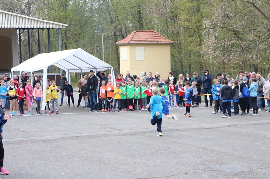 Fr&uuml;hjahrscrosslauf 2019