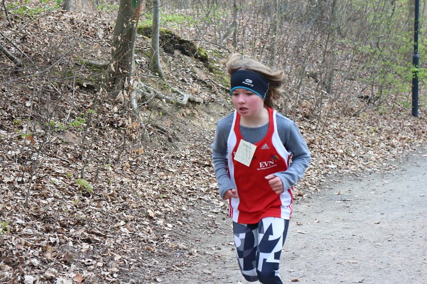 Fr&uuml;hjahrscrosslauf 2019