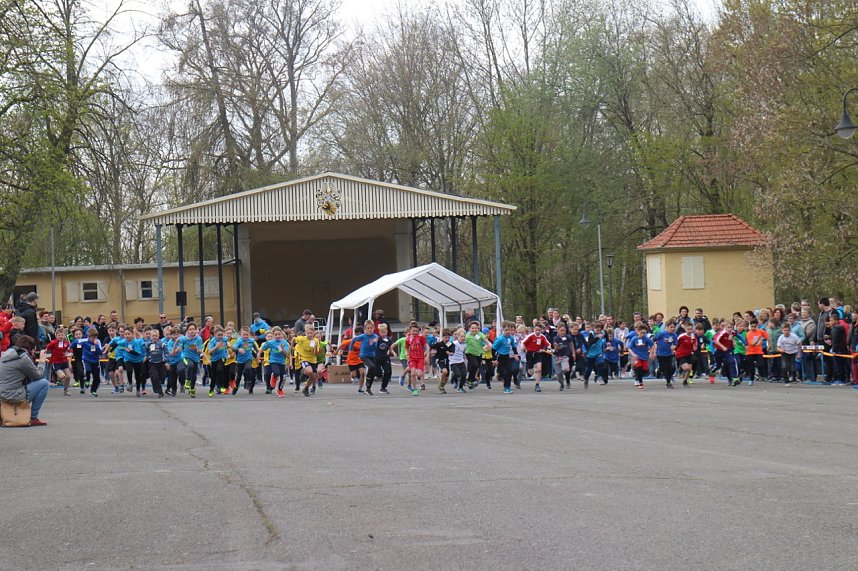 Fr&uuml;hjahrscrosslauf 2019