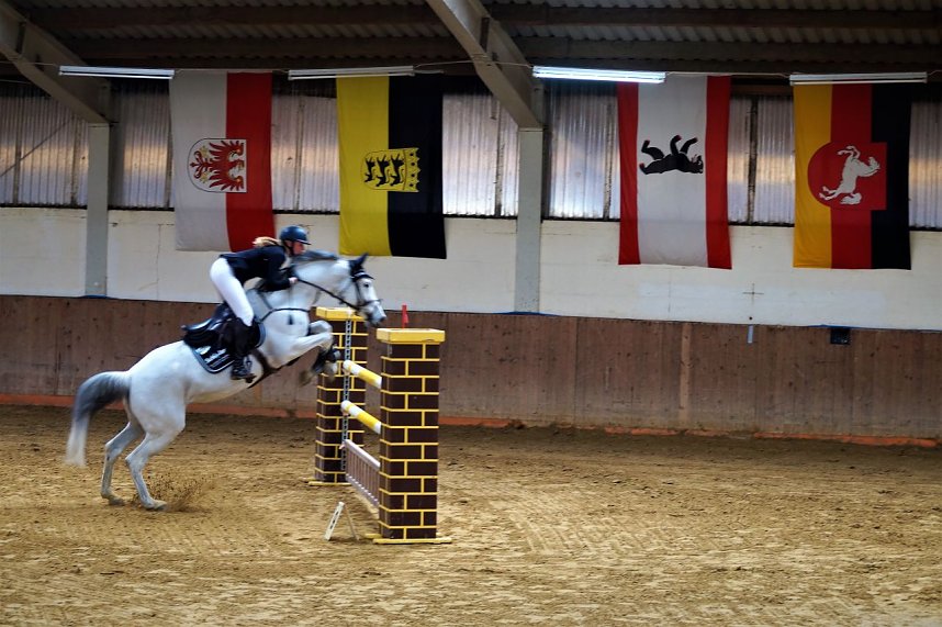3. Hallenmeisterschaft Springreiten