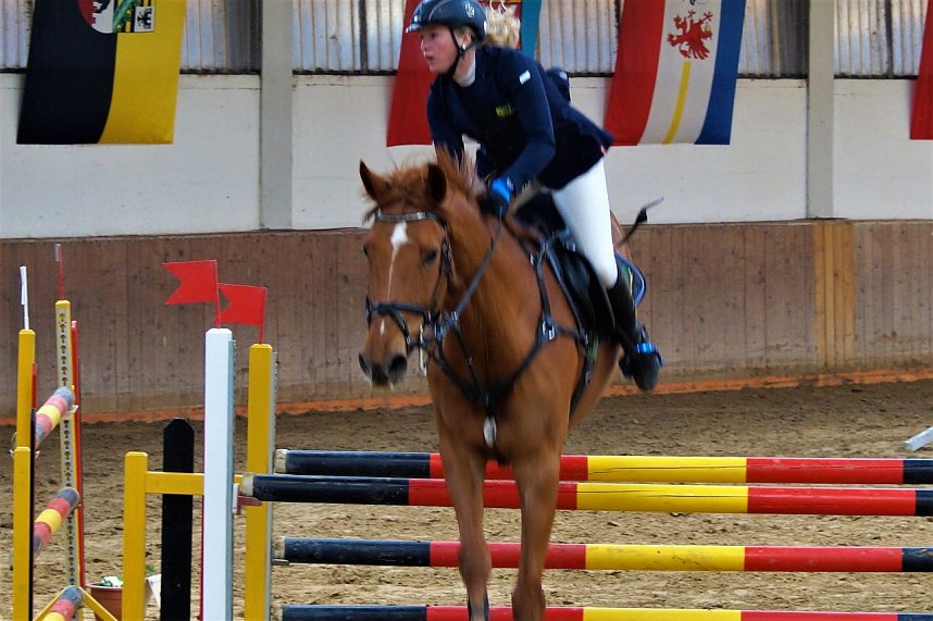 3. Hallenmeisterschaft Springreiten