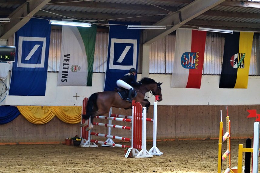 3. Hallenmeisterschaft Springreiten