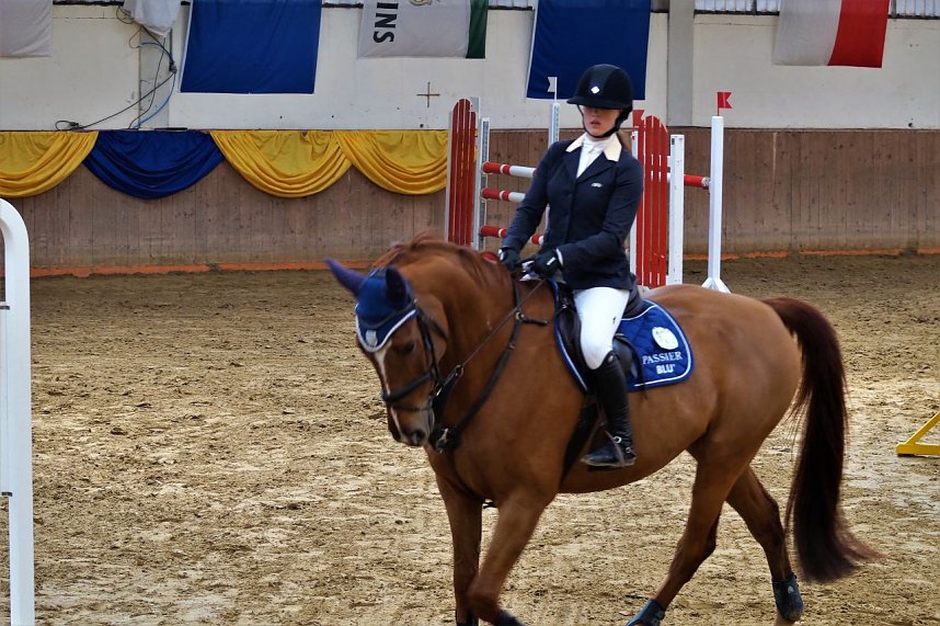 3. Hallenmeisterschaft Springreiten