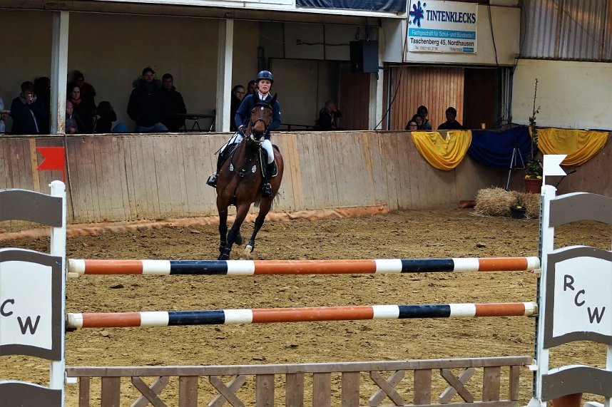 3. Hallenmeisterschaft Springreiten