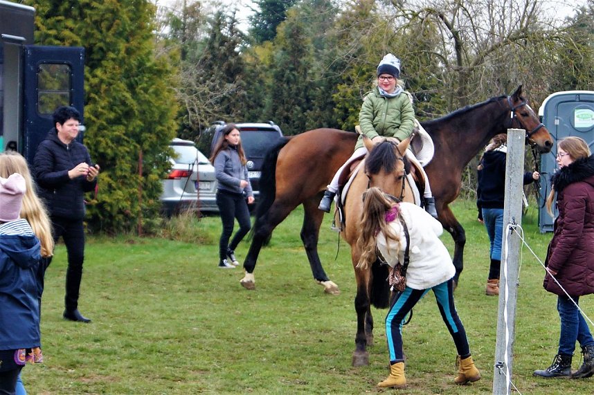 3. Hallenmeisterschaft Springreiten