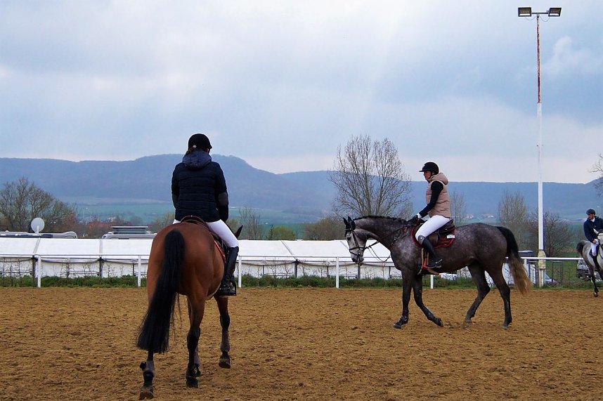 3. Hallenmeisterschaft Springreiten