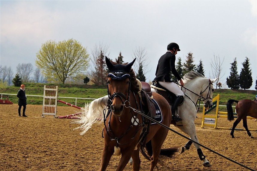 3. Hallenmeisterschaft Springreiten