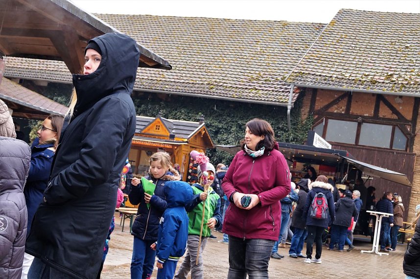 3. Hallenmeisterschaft Springreiten