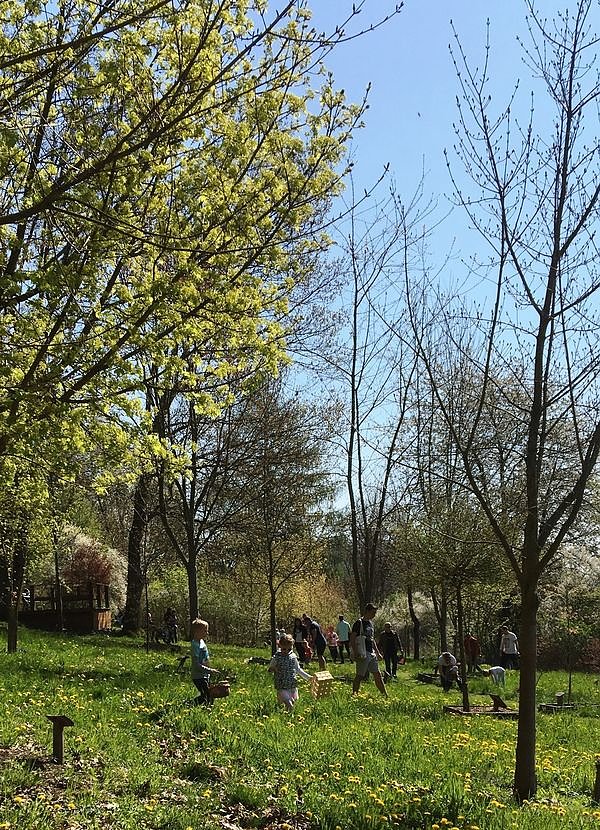 Ostereiersuche im Ilfelder Ahornpark