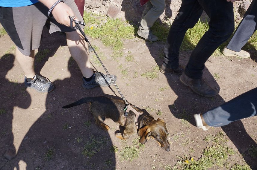 Ostereiersuche auf der Ebersburg