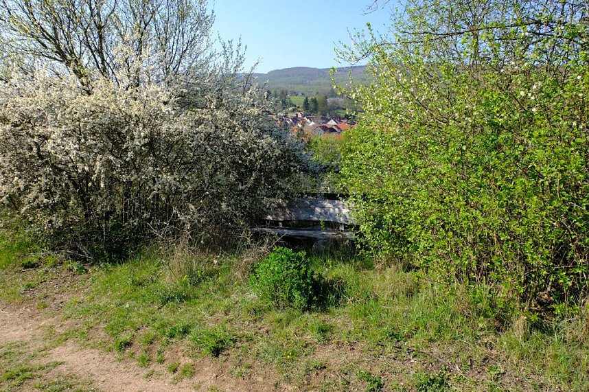 Ostern am Neust&auml;dter Gondelteich