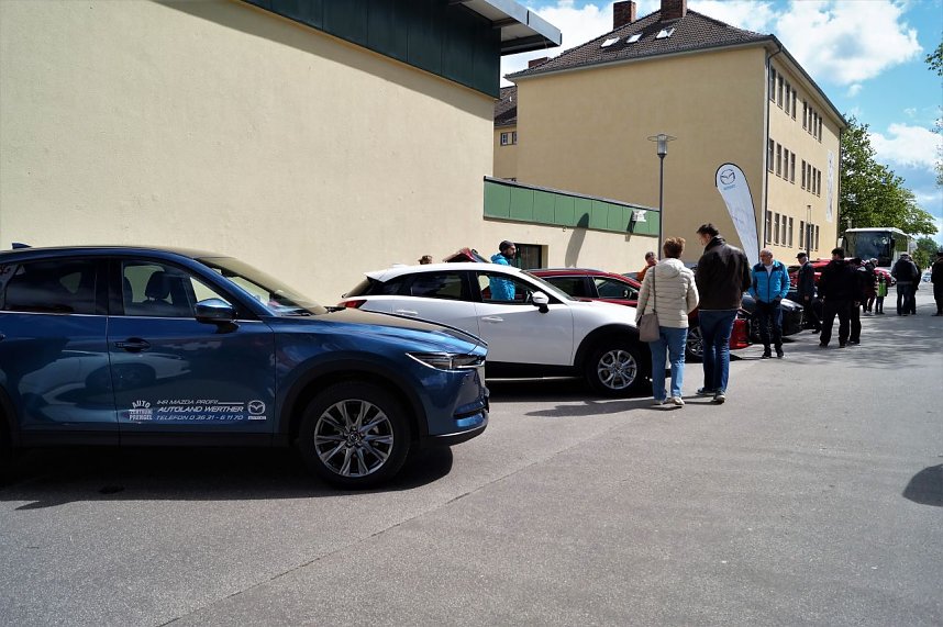 Autofr&uuml;hling 2019