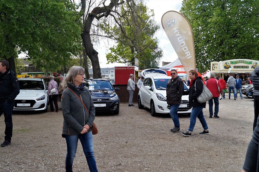 Autofr&uuml;hling 2019