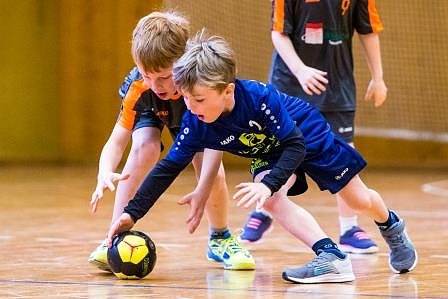 Handballzwerge im Mittelpunkt