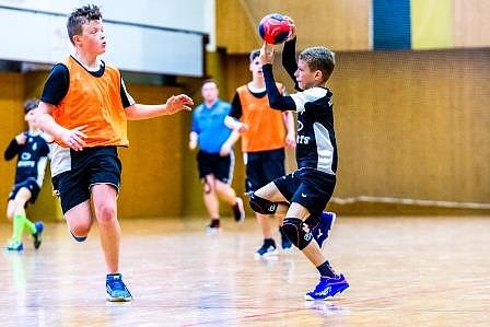 NSV-Handballer sind Vize-Landesmeister