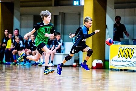 NSV-Handballer sind Vize-Landesmeister